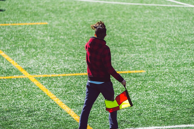 以其独特的 以其独特的