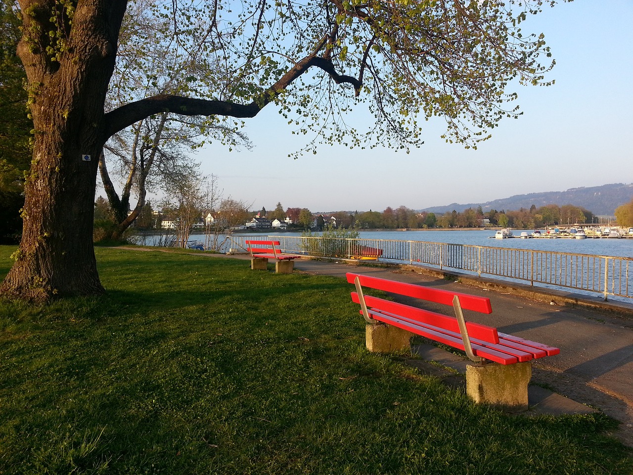 刷新了观众 刷新了观众